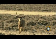 Hunting at The Flying V Lodge