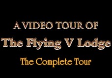 The Complete Video Tour