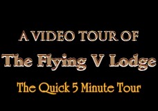 The Quick 5 Minute Tour